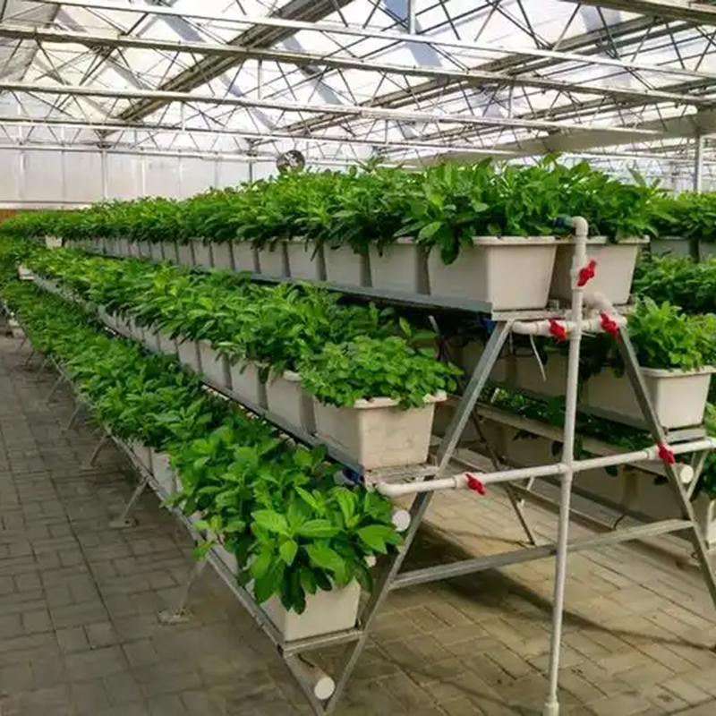 云浮市植物工厂无土栽培 - 一站式服务